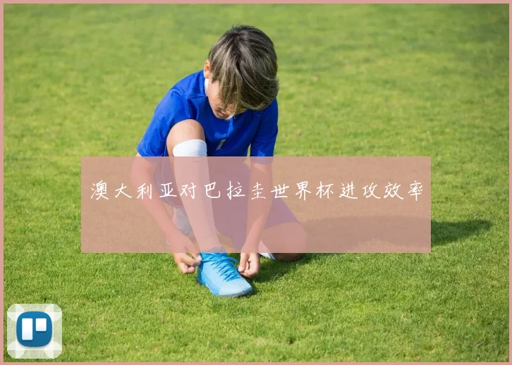 澳大利亚对巴拉圭世界杯进攻效率