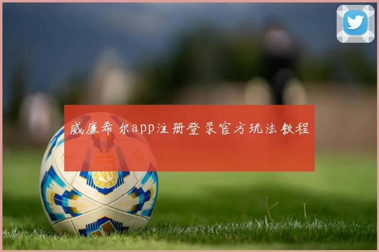 威廉希尔app注册登录官方玩法教程