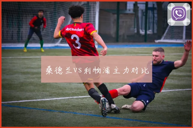 桑德兰vs利物浦主力对比