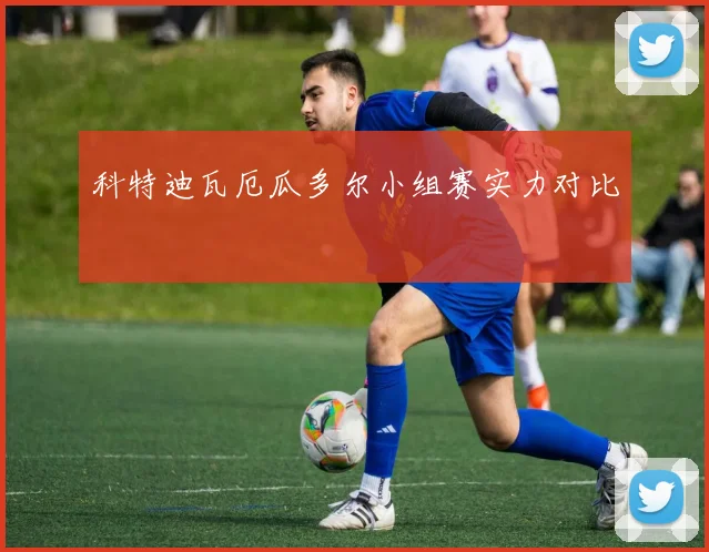 科特迪瓦厄瓜多尔小组赛实力对比