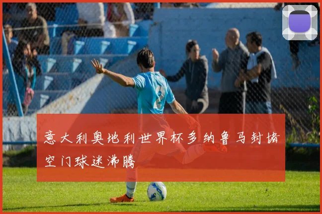 意大利奥地利世界杯多纳鲁马封堵空门球迷沸腾