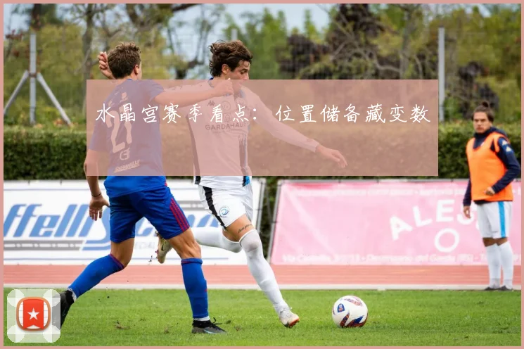 水晶宫赛季看点：位置储备藏变数