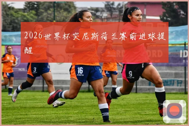 2026世界杯突尼斯荷兰赛前进球提醒