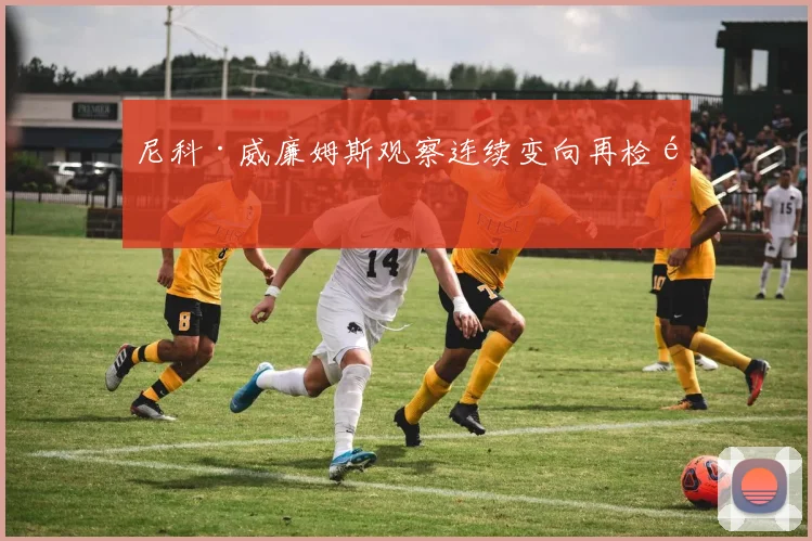 尼科·威廉姆斯观察连续变向再检验