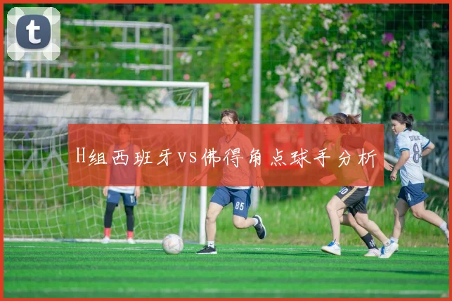 H组西班牙vs佛得角点球手分析