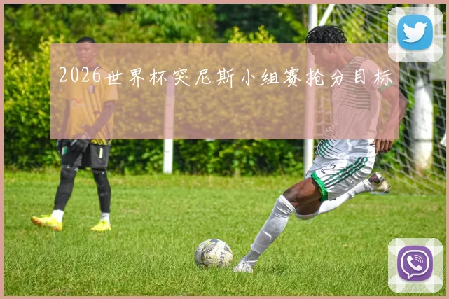 2026世界杯突尼斯小组赛抢分目标
