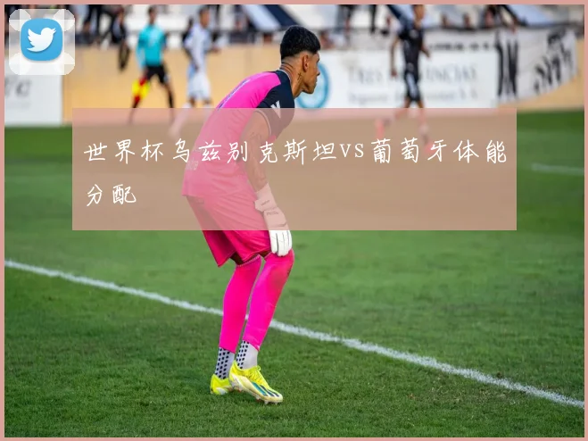 世界杯乌兹别克斯坦vs葡萄牙体能分配