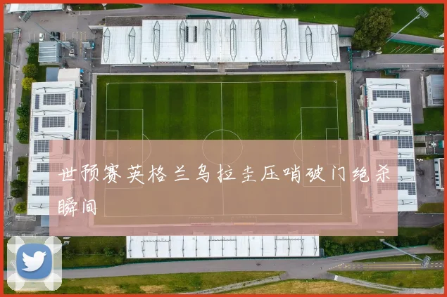 世预赛英格兰乌拉圭压哨破门绝杀瞬间