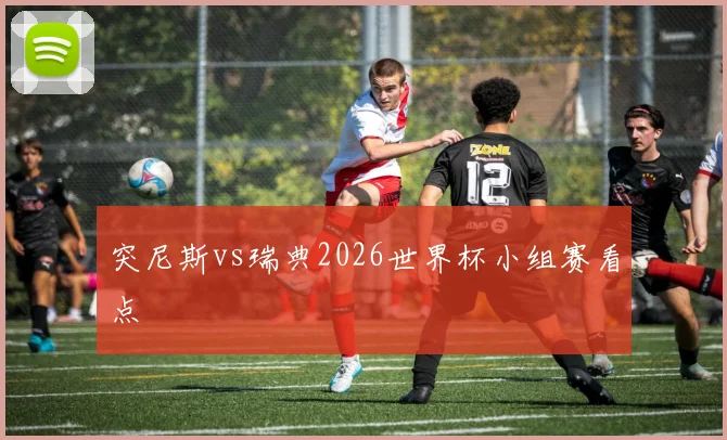 突尼斯vs瑞典2026世界杯小组赛看点