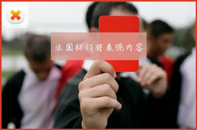 法国杯门将表现内容